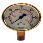 Brass Standard Dry Gauge